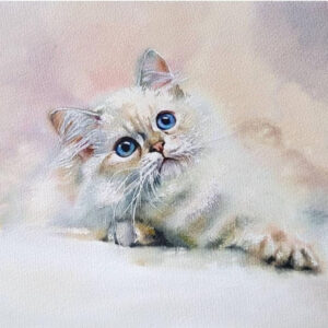 cat 1