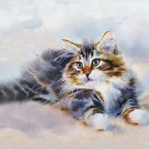 cat 2