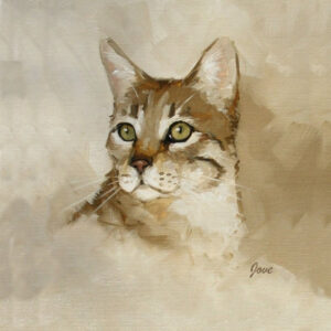 cat 3