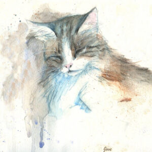 cat 4