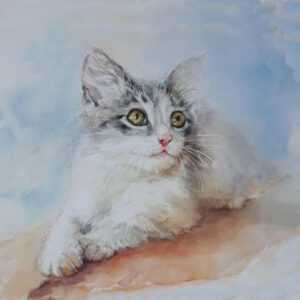 cat 5