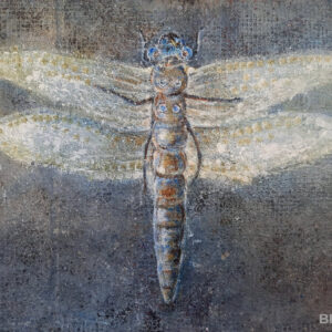 Gold dragonfly