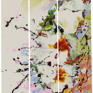 The Influence of Softness