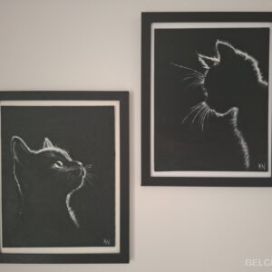 Kitten shadows