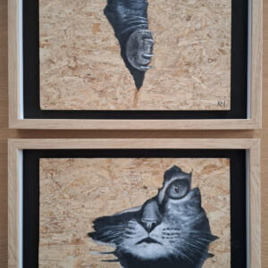 Hidden cats