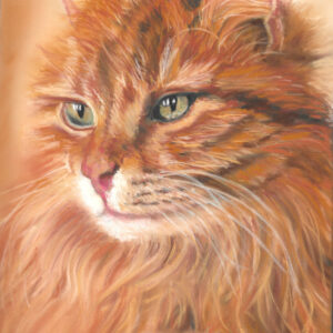 Fluffy Ginger Cat