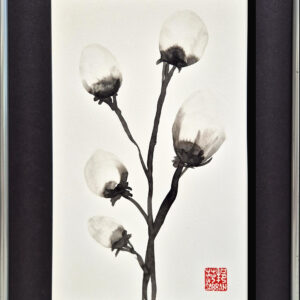 Cotton Flowers 5B