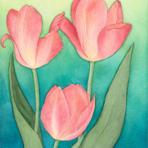 Glowing Tulips