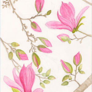 Blossoming Magnolia
