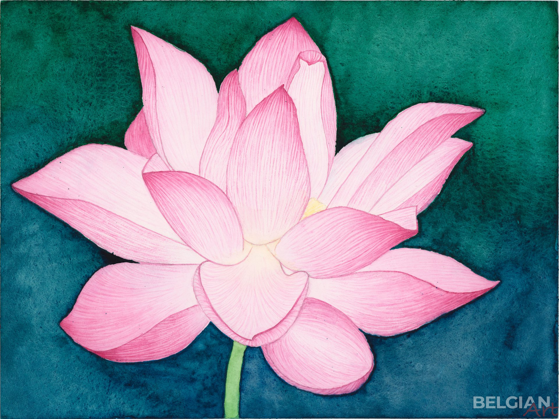 Blooming Lotus