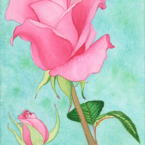 Dreamy Rose