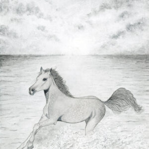 Running Free