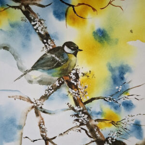 Mésange sur la branche