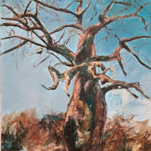 Baobab