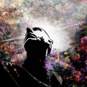 avatar_6145e5eb0ff148-18369981-14462149