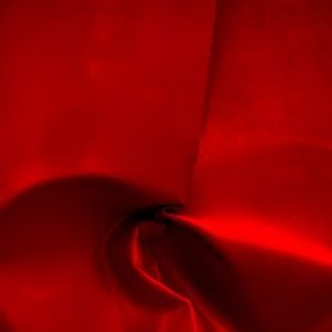avatar_6200edd716d532-70405874-21108403